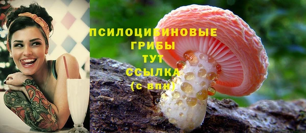 винт Балахна